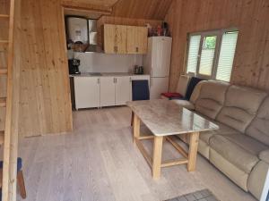 cocina y sala de estar con mesa y sofá en Hubane saunamaja sisehoovis en Tartu