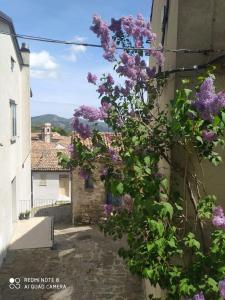 een steegje met paarse bloemen aan de zijkant van een gebouw bij Sant'Elia B&B in Alessandria del Carretto