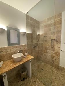ein Bad mit einem Waschbecken und einer Dusche in der Unterkunft Magnifique villa vue mer avec piscine in Coti-Chiavari