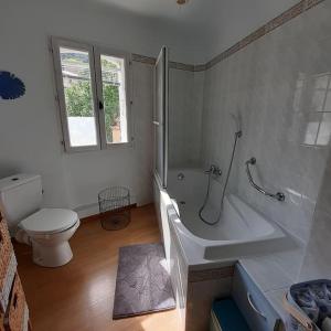 a bathroom with a tub and a toilet and a sink at Maison dans un village du Var avec jardin in Seillans