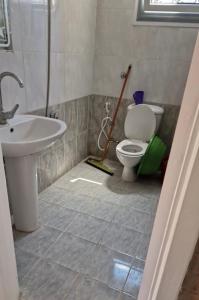 a bathroom with a sink and a toilet with a mop at فيلا 110 قريه سلاح المهندسين in Alexandria