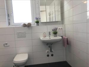 uma casa de banho com um WC, um lavatório e um espelho. em Moderne Alpenblick Apartment em Friedrichshafen