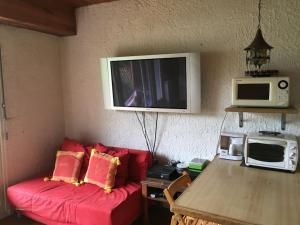 sala de estar con sofá rojo y microondas en Appartement AURON + Jardin, en Saint-Étienne-de-Tinée