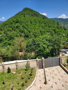 Fotografie z fotogalerie ubytování DIOSKURIA BORJOMi v destinaci Bordžomi