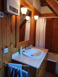 a bathroom with a sink and a mirror at Acogedor apartamento de montaña con jardín y piscina - VU-HUESCA-23-182 in Benasque +15 photos