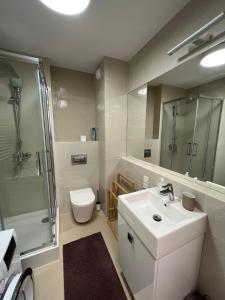 een badkamer met een wastafel, een douche en een toilet bij Komfort z balkonem w centrum in Wrocław