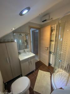 W łazience znajduje się toaleta, umywalka i prysznic. w obiekcie Apartman Olivia w mieście Ludbreg