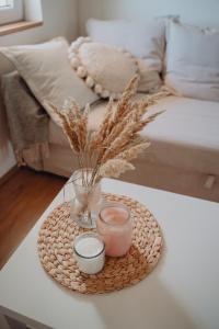 Fotografie z fotogalerie ubytování Pura Vida Vrbice v destinaci Vrbice