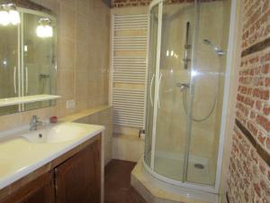 a bathroom with a shower and a sink at chambre aux tomettes au Major in Belle-et-Houllefort