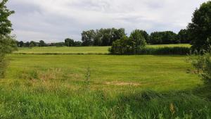 Loodusmaastik puhkemaja lähedal
