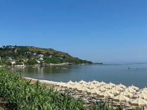 Pokrajina v okolici apartmaja