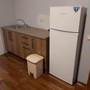 a kitchen with a white refrigerator and a sink at Villa Spinarica in Zverneci