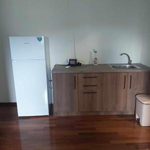 a kitchen with a white refrigerator and a sink at Villa Spinarica in Zverneci +26 photos