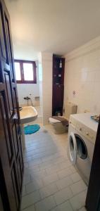 a bathroom with a washer and a washing machine at Perivolia Serenity in Chania in Ayiá