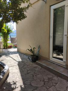 a plant in a pot sitting outside of a house at Guesthouse Panorama in Mostar