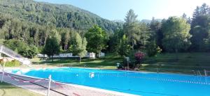 a large swimming pool with a mountain in the background at Haus Elli in Greifenburg
