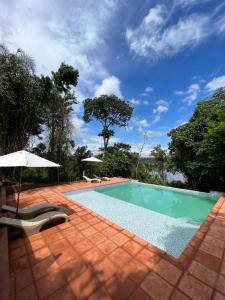 伊瓜蘇港的住宿－GLAMPING SELVA IGUAZU，一个带椅子和遮阳伞的游泳池