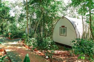 a small tent in the middle of a forest at GLAMPING SELVA IGUAZU in Puerto Iguazú