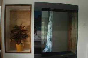 a potted plant sitting on a shelf in a room at Péniche Espoir in Avignon