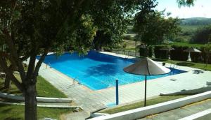 una gran piscina azul con sombrilla en Casa Campiña Jerezana 