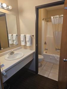 a bathroom with a sink and a toilet and a mirror at Crookston Inn & Convention Center in Crookston