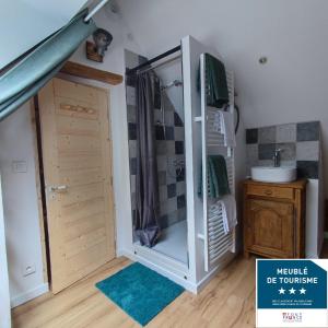 uma casa de banho com um chuveiro e um lavatório num quarto em Gîte Ti Laouen em Plélo