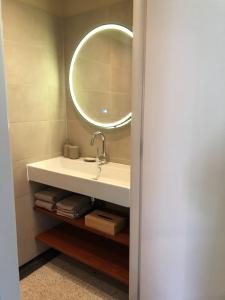 W łazience znajduje się umywalka i lustro. w obiekcie B&B Het Postkantoortje w mieście Gorssel
