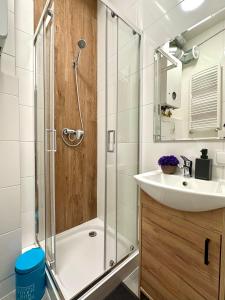 a bathroom with a shower and a sink at MMRent Sparrow Room in Gdańsk