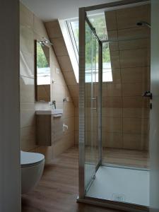 a bathroom with a shower and a toilet and a sink at Apartment Vida in Bovec