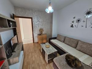 a living room with a couch and a table at Apartman Aleks in Banja Koviljača