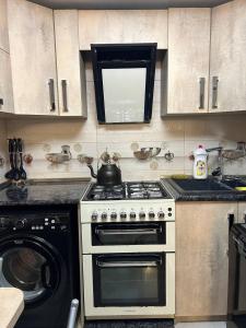 Kuchyň nebo kuchyňský kout v ubytování Niluxe Apartment Kutaisi
