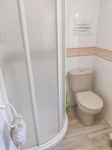 La petite salle de bains est pourvue d'une douche et de toilettes. dans l'établissement Lolas Cozy Studio, à Grenade