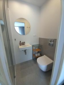 een badkamer met een toilet, een wastafel en een spiegel bij Dom Hermana in Mrzeżyno