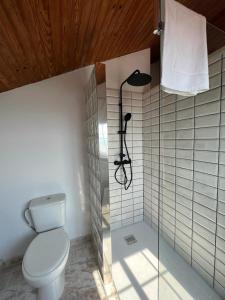 a bathroom with a toilet and a shower stall at Aloxamento A Mariña in Oia
