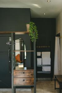 a green room with a wooden dresser and a mirror at Sol del Valle in Valle de Guadalupe