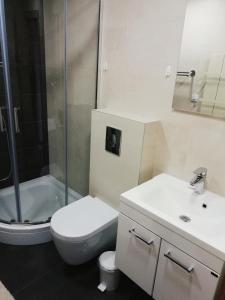 a bathroom with a toilet and a sink and a shower at Reka in Zlatibor