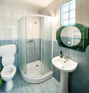 a bathroom with a shower and a toilet and a sink at Casa Anca in Băile Herculane