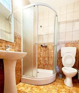 a bathroom with a shower with a toilet and a sink at Casa Anca in Băile Herculane