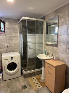 a bathroom with a washing machine and a sink at Cristian in Dejani +130 photos