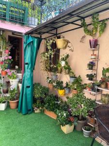 Zahrada ubytování Niluxe Apartment Kutaisi