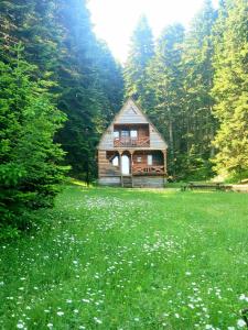 eine Hütte auf einem grünen Rasen mit weißen Blumen in der Unterkunft Cottage Sochi in Ambrolauri