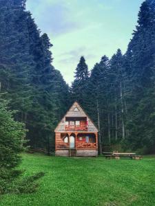 una pequeña cabaña en medio de un campo verde en Cottage Sochi en Ambrolauri