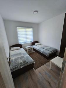 una stanza con due letti e una finestra di Apartman Planinski Raj a Žabljak