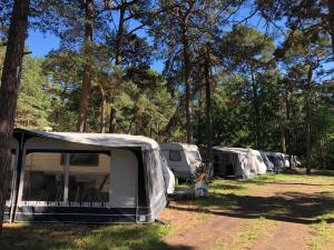 una fila de caravanas estacionadas en un bosque en Sosnowy Village Hel Helska 11 en Hel