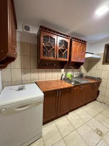 a kitchen with wooden cabinets and a white refrigerator at Cristian in Dejani