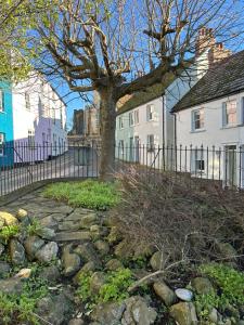 a tree in a yard with houses and a fence at Billie's seaside retreat in Lyme Regis