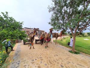 eine Pferdekutsche auf einer unbefestigten Straße in der Unterkunft Sariska Kasba A Village Resort in Tehla
