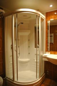 Koupelna v ubytování Hotel Germisara