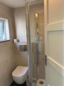 a bathroom with a toilet and a glass shower door at The Garage Getaway in Glastonbury