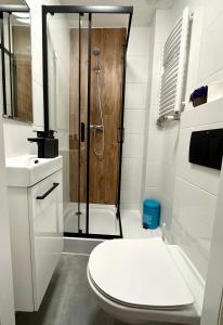 ein Bad mit einer Dusche, einem WC und einem Waschbecken in der Unterkunft MMRent Jungle Room in Danzig